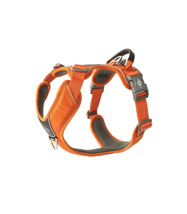 Comfort Walk Pro